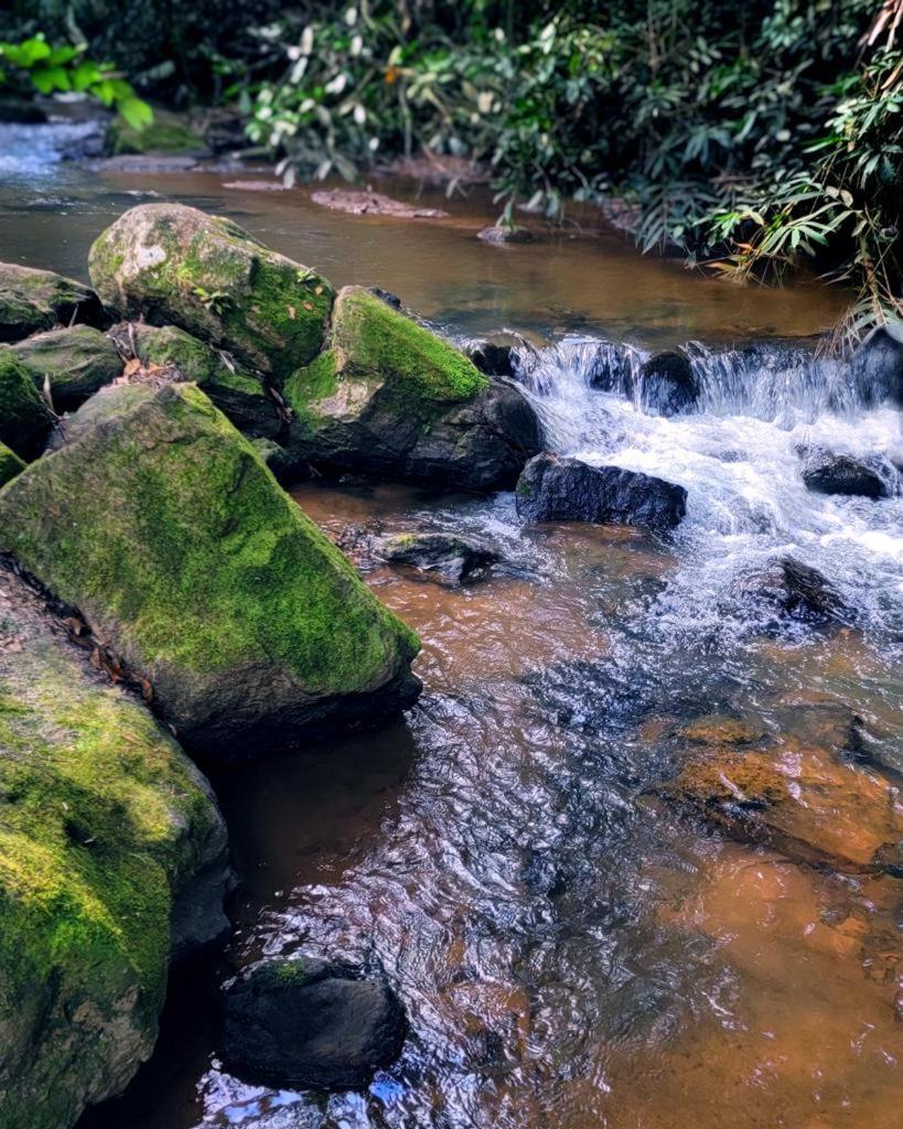 Pousada Sitio Das Pedras Domingos Martins Exterior foto